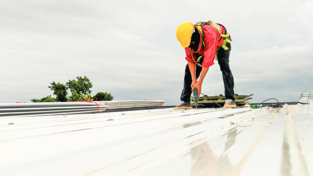 Best Steel Roofing  in Santa Rita Ranch, TX