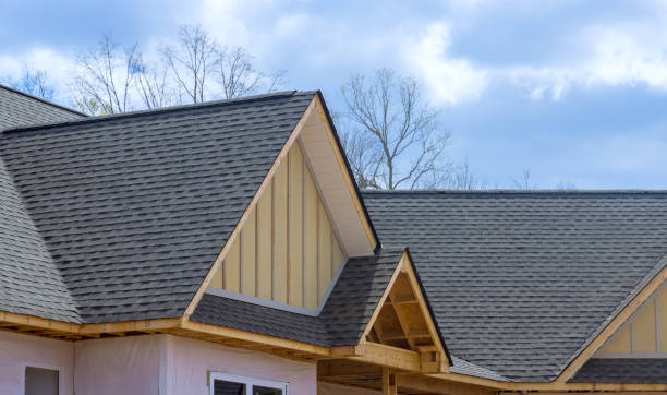 Trusted Santa Rita Ranch, TX Roofing Service Experts